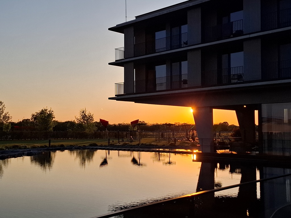 Wasser, Wein und E-Bike im&nbsp;Seewinkel