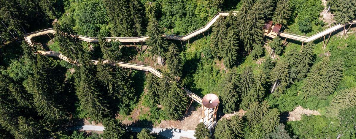 Über Wipfel und Höhen in&nbsp;Graubünden